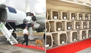 82465d143598b9466fc3c7dfbdf32868-1-300×175-1